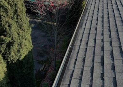 Complete Gutter Cleaning Santa Rosa CA