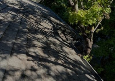 Gutter Repair Santa Rosa CA